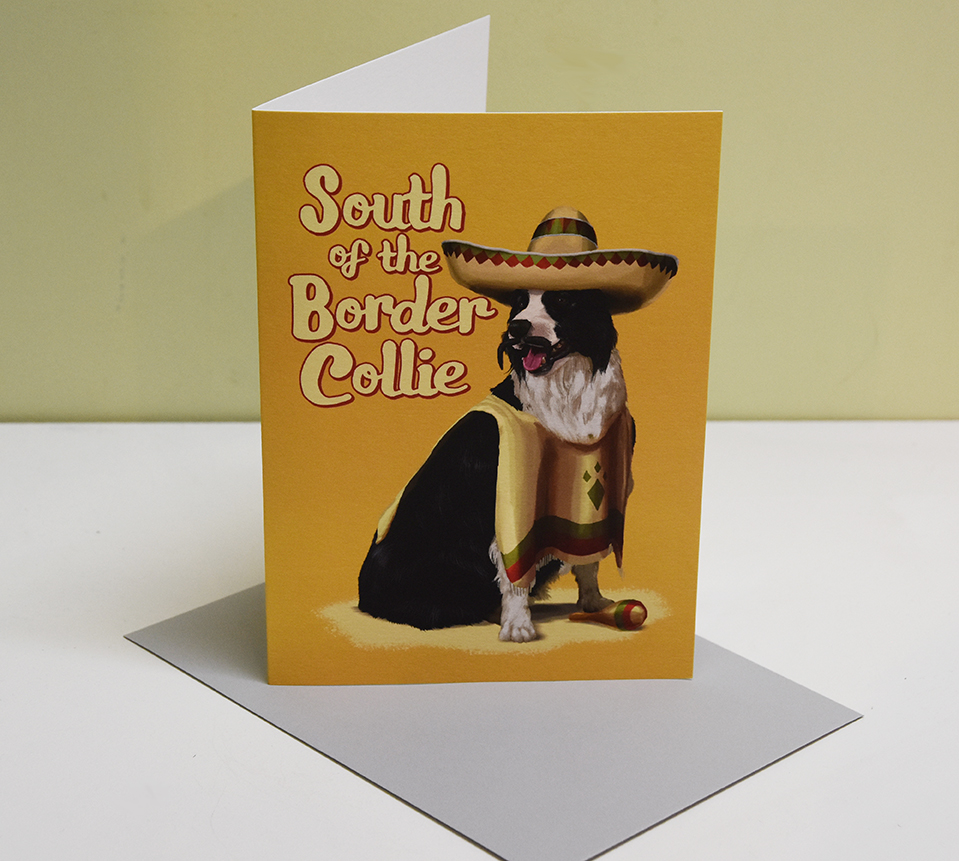 South of the Border Collie