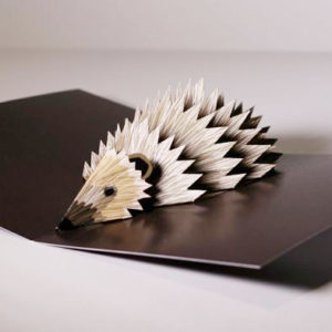 Pop Up Hedgehog Card
