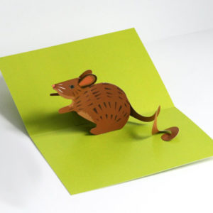 Pop Up Mouse Card
