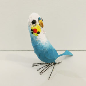 Blue Budgie