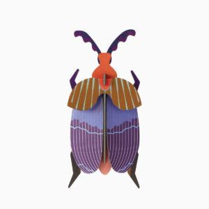 Small Queen Beetle