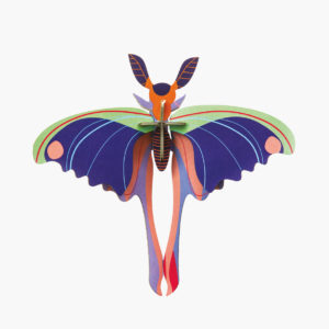 Small Blue Comet Butterfly
