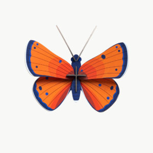 Small Copper Butterfly
