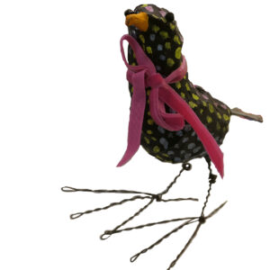Starling bird