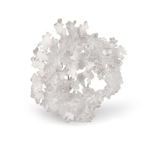 Foliose Brooch