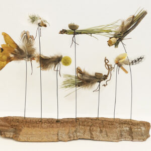 Insect World